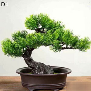 tFCNO[ A  ~j A u lHϗtA CeAO[ lHt { ϗtA ϗt lHA ͂Ȃ sv K[f   