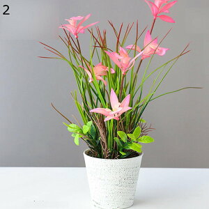 ԃCeA A XK ԃO[ ͂Ȃ u  ϗtA { sv k A[g ins 蕨 v[g p  u[P K[fjO