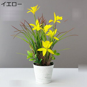  ԑ ԃO[ 񂵂  tFCN ~͐A A A { ~jԊ bsv  _ k K[f u 蕨 ʐ^Be u 