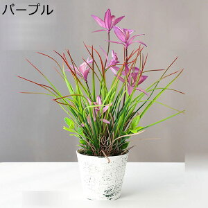  ԑ ԃO[ 񂵂  tFCN ~͐A A A { ~jԊ bsv  _ k K[f u 蕨 ʐ^Be u 