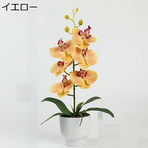 ԑ  Ӓ A ԃO[  tFCN A ֏ CeA { ~jԊ ͂Ȃ  _ k ̓ CeA 蕨 x_ 