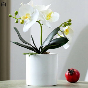 ԃCeA A Ӓ u ~͐A ͂Ȃ  ϗtA A { Q쏜sv  _ k K[f u 蕨 ʐ^Be K[fj