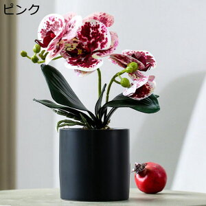 造花インテリア 鉢植え 胡蝶蘭 卓上置き 盆栽植物 枯れない花 装飾花 観葉植物 リアル 本物そっくり 害虫駆除不要 おしゃれ モダン 北欧 ガーデン飾り 装飾置物 贈り物 写真撮影 ガーデニン