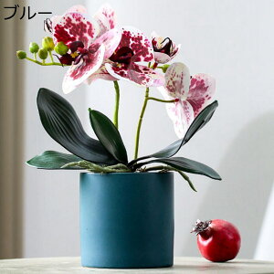 ԃCeA A Ӓ u ~͐A ͂Ȃ  ϗtA A { Q쏜sv  _ k K[f u 蕨 ʐ^Be K[fj