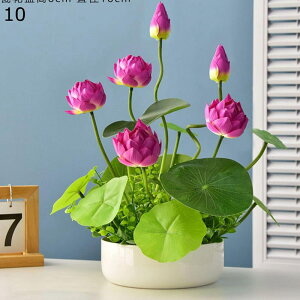  ? ԃCeA tFCN A[gt[ ͂Ȃ ԃZbg  ϗtA A { ԕrt Q쏜sv  _ k CeA 蕨 x_ 