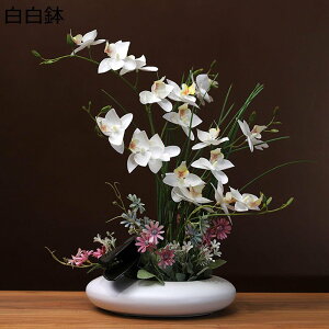  ͂Ȃ A[gt[ XK ԃCeA 픫 ϗtA  A { lHA ϗtA ͂Ȃ k ins  u[P    