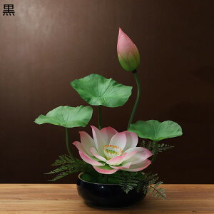 ԃCeA  ? u^ ͂Ȃ  ϗtA u A { Q쏜sv k A[g ins K[f u 蕨 ʐ^Be X fR[V  뉀