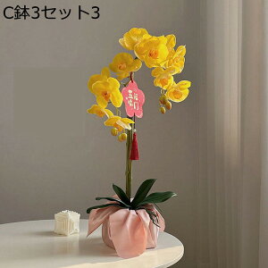 ԃCeA ԑ ͂Ȃ  ϗtA A { ȒPb炸 ~jԊ k ins    X iX K[f u 蕨 ʐ^Be