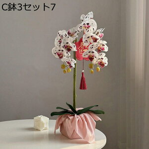 ԃCeA ԑ ͂Ȃ  ϗtA A { ȒPb炸 ~jԊ k ins    X iX K[f u 蕨 ʐ^Be