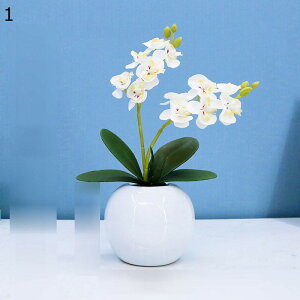 造花 花束 胡蝶蘭 ミニ花器 鉢植え 造花グリーン 装飾花 フェイク花 リアル 本物そっくり 花瓶付き 害虫駆除不要 北欧風 ins おしゃれ ホーム 撮影小道具 パーティー オフィス 贈り物