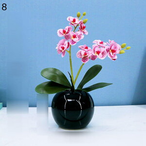  ԑ Ӓ ~jԊ A ԃO[  tFCN A { ԕrt Q쏜sv k ins  z[ Be p[eB[ ItBX 蕨