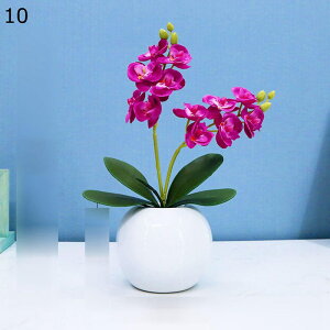  ԑ Ӓ ~jԊ A ԃO[  tFCN A { ԕrt Q쏜sv k ins  z[ Be p[eB[ ItBX 蕨