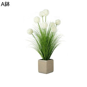 ԃCeA AWTC ۂ ԃO[ A ԑ ͂Ȃ u  ϗtA A { Q쏜sv k ins  hV̓ j  Mtg