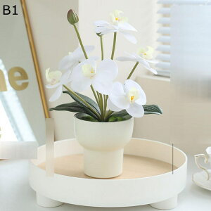 qAVX  ͂Ȃ  ? A ~j ԃCeA ϗtA  A { lH lHA Q쏜sv k A[g ins z[ Be  蕨