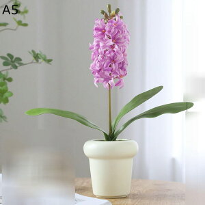 qAVX  ͂Ȃ  ? A ~j ԃCeA ϗtA  A { lH lHA Q쏜sv k A[g ins z[ Be  蕨