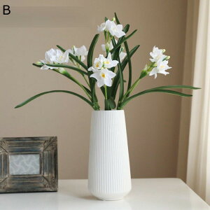 ԃCeA   ԑ ԑ ͂Ȃ ԕrt  tFCN ϗtA A { Q쏜sv k ins  蕨 v[g p  u[