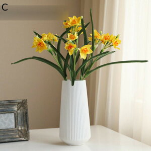 ԃCeA   ԑ ԑ ͂Ȃ ԕrt  tFCN ϗtA A { Q쏜sv k ins  蕨 v[g p  u[