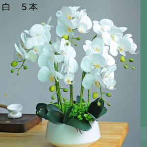 ԃCeA Ӓ A[gt[ u ͂Ȃ  픫 ϗtA A ȒPb炸 ~jԊ k A[g ins   X iX K[f u 蕨 ʐ^B
