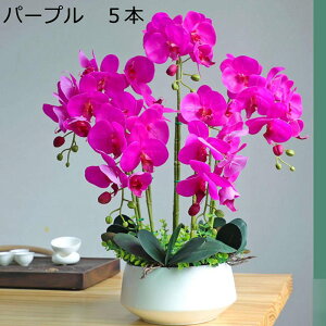 ԃCeA Ӓ A[gt[ u ͂Ȃ  픫 ϗtA A ȒPb炸 ~jԊ k A[g ins   X iX K[f u 蕨 ʐ^B