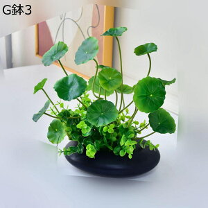 lHϗtA A A u Xe ACr[ |gX LM\E 񂵂 { CeAO[ tFCNO[ lHA ϗtA CeA EFf