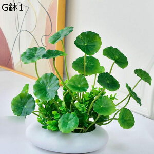 lHϗtA A A u Xe ACr[ |gX LM\E 񂵂 { CeAO[ tFCNO[ lHA ϗtA CeA EFf