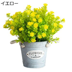 ݑ lH{[ ԃCeA ԑ ͂Ȃ  ͂ȂO[  ϗtA A { bsv ԕrt k A[g ins 蕨 v[g p 