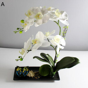 ԃCeA Ӓ A A[gt[  ԃZbg ͂Ȃ  ϗtA A { ~jԊ bsv k ins  蕨 K[f   