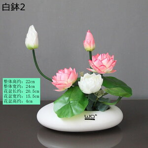  ͂Ȃ  ? ~ u u^ A[gt[ t[AWg ԃCeA  { ~jԊ ϗtA k ins  u[P   CeA