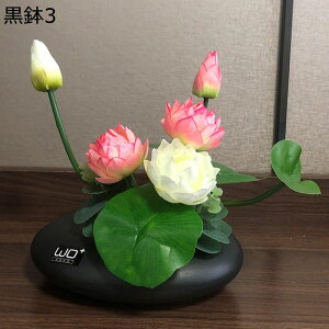  ͂Ȃ  ? ~ u u^ A[gt[ t[AWg ԃCeA  { ~jԊ ϗtA k ins  u[P   CeA