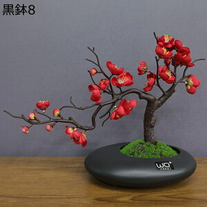  ͂Ȃ  ? ~ u u^ A[gt[ t[AWg ԃCeA  { ~jԊ ϗtA k ins  u[P   CeA