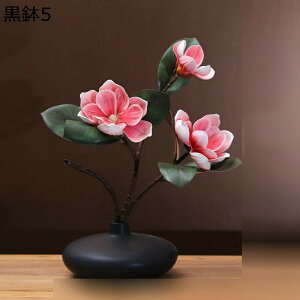  ͂Ȃ 픫 ԃCeA ϗtA  A[gt[ t[AWg { lH lHA sv  _ k z[  