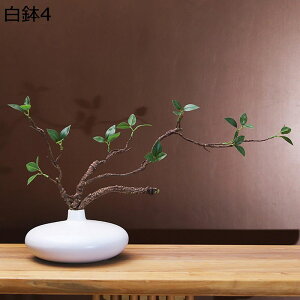  ͂Ȃ 픫 ԃCeA ϗtA  A[gt[ t[AWg { lH lHA sv  _ k z[  