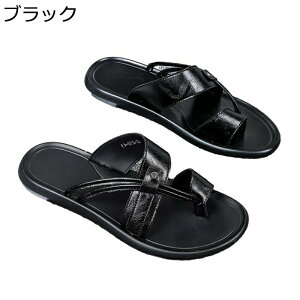 T_ gO Y Xbp r[`T_ hCo[T_ gOT_ ČC h _炩 ʋC ₷ t@bV ~ EȒP RtH[gV[Y j 