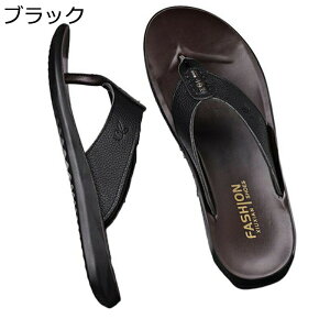 T_ gO Y U[Xbp r[`T_ [V[Y {v gOT_ ČC h _炩 ʋC ₷ t@bV ~ E₷ RtH[gV[