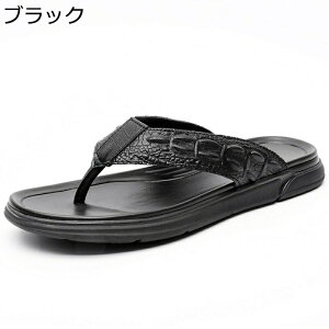 T_ gO Y NŘ^ U[Xbp j {v @t r[`T_ Oo gOT_ ČC ~ ʋC K ؍  EȒP rWlX A