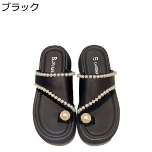 T_ gOT_ p[ fB[X r[`T_ ~[ r[T EFbW\[ OoXbp 킢 Op ėp vbgtH[ t@bV T{ ₷ 