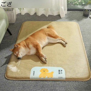 XNGA^ ybgxbh   ^p pxbh 傫TCY ybg}bg Lpxbh N[ ΍ ėp ybgV[g Lp}bg p}bg ʔN ɂn 