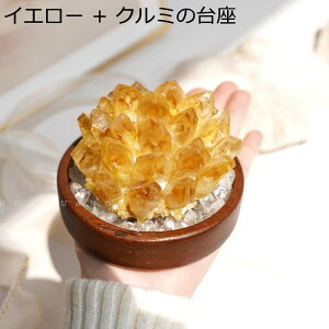  NX^̃NX^  Vg VR u t i  J^  J^ObY VR CeA p[Xg[ ACe ItBX v[g 蕨