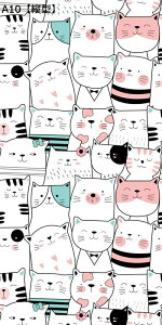 ptB KX KXډBtB  J[gD[   q ct ۈ牀 p KXV[  œ\ Ռ  rO[ Lb` X