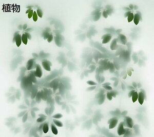 O猩ȂV[g tB vCoV[ی t A ډBtB fMV[g Ռ uvJbg KX vCoV[ی rO[ Lb` ˒I  KX Ce