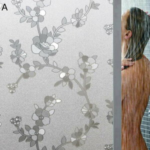 KXtB X[NtB vCoV[ی EBhEtB  KXV[g Ȃ O猩ȂV[g ͂ œ\ oX Q C KXV[g