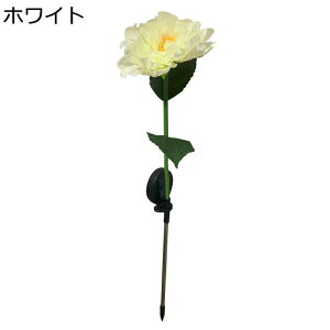 ԃCg \[[ O K[fCg tFCNt[ O IP65 h ߍݎ nʑ} ÃZT[ \[[Cg _ ZT[ zpl[d /֐/Ő/ԏ/