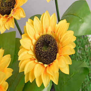  \[[Cg 2  K[fCg Ђ܂ ߍݎ nʑ} O h \[[[d KiCg gF Px LED 뉀 _ LED O ZT[ ԎƖ 뉀