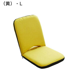 座椅子 フロアチェア 和室の椅子 あぐら座椅子 コンパクト 一人掛けソファ リクライニングチェア 5段ギア 折りたたみ 180度フラット可能 ソファベッド 背中サポート ごろ寝 在宅 出窓 テレワ