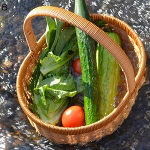 ҂݂ JS[  nht ^ѕ֗ 肳  Gݎ[   oXPbg p ʕ [ 􂦂 poXPbg  َq Lb`