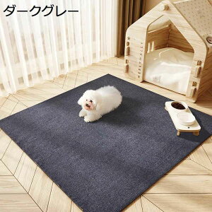 ybgp}bg ybg}bg ׂ~ z}bg J[ybg n hLhJr hۉ 唻 ^E^E^p P[Wp ƒ/ItBX/  􂦂 t[Jbg