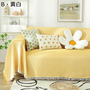 }`Jo[ \t@[Jo[ n \t@[V[c uPbg hoJo[ tWt 1-4l| 唻 }`NX ѕz ܂Ƃh~ h ې􂢉\ k Vv lG