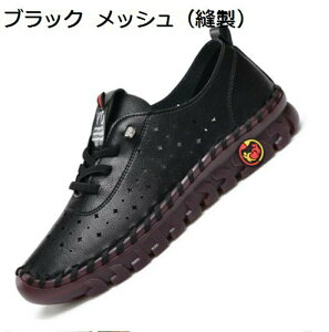 pvX  vC fB[X ؂ wlp }}V[Y wlC JWA N  ꂳ  ~ y ₷ h [XAbv ҂ݏグ  