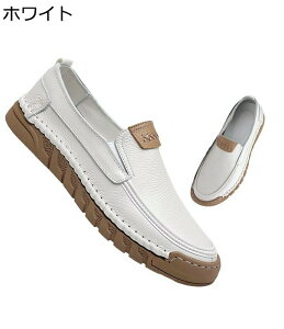 [t@[ hCrOV[Y {v JV Y Xj[J[ XbvI U[ JWAV[Y  Sn悢 t YC  y C ɂ y` AE