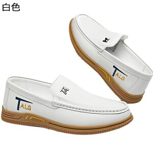 JWAV[Y Xb| Y JV zCg ubN y j Xj[J[ ~ ʋC K fbLV[Y ₷ ₷ p[eB  tH